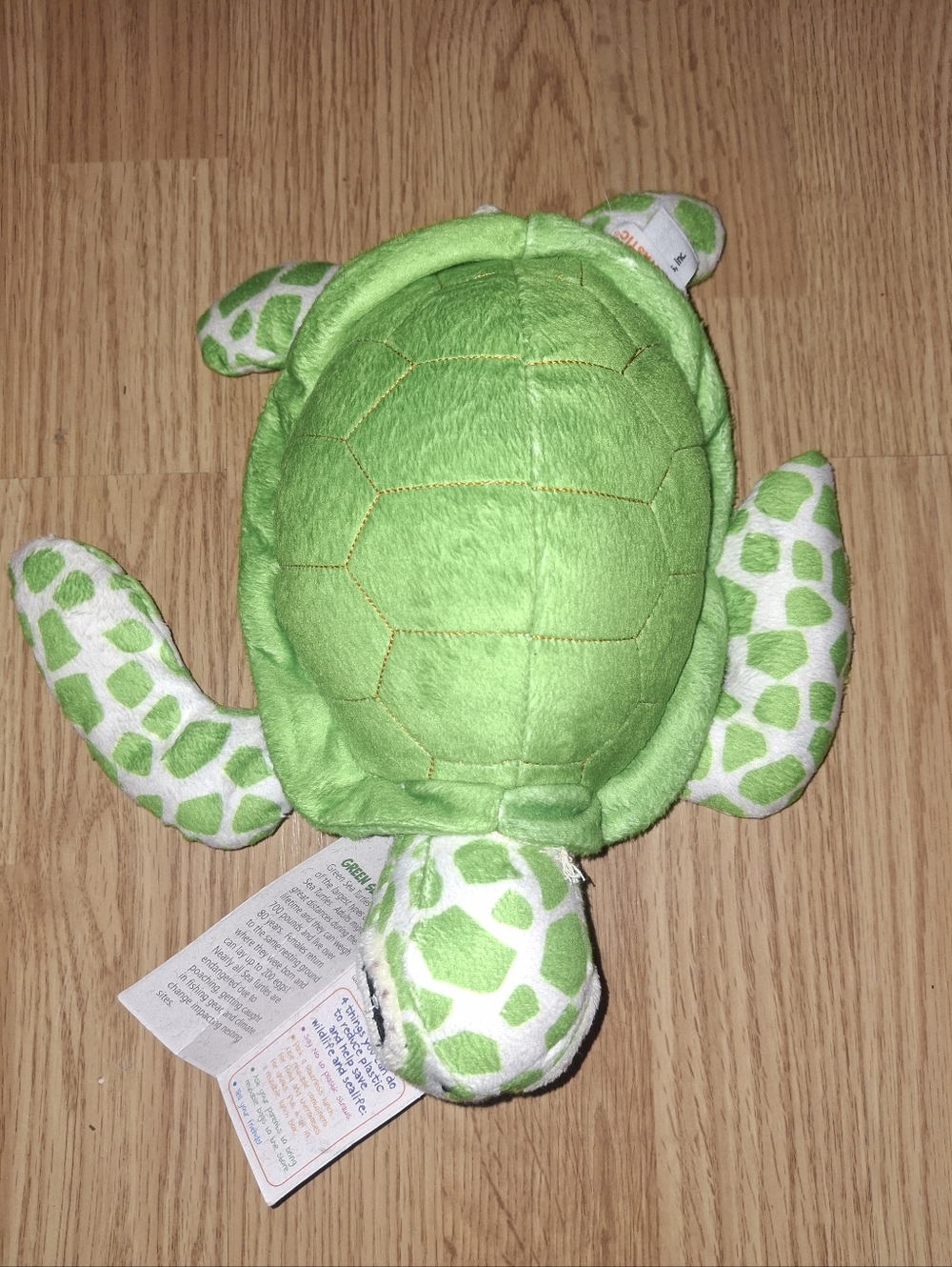 Green Plush Turtle Small Pet Toy